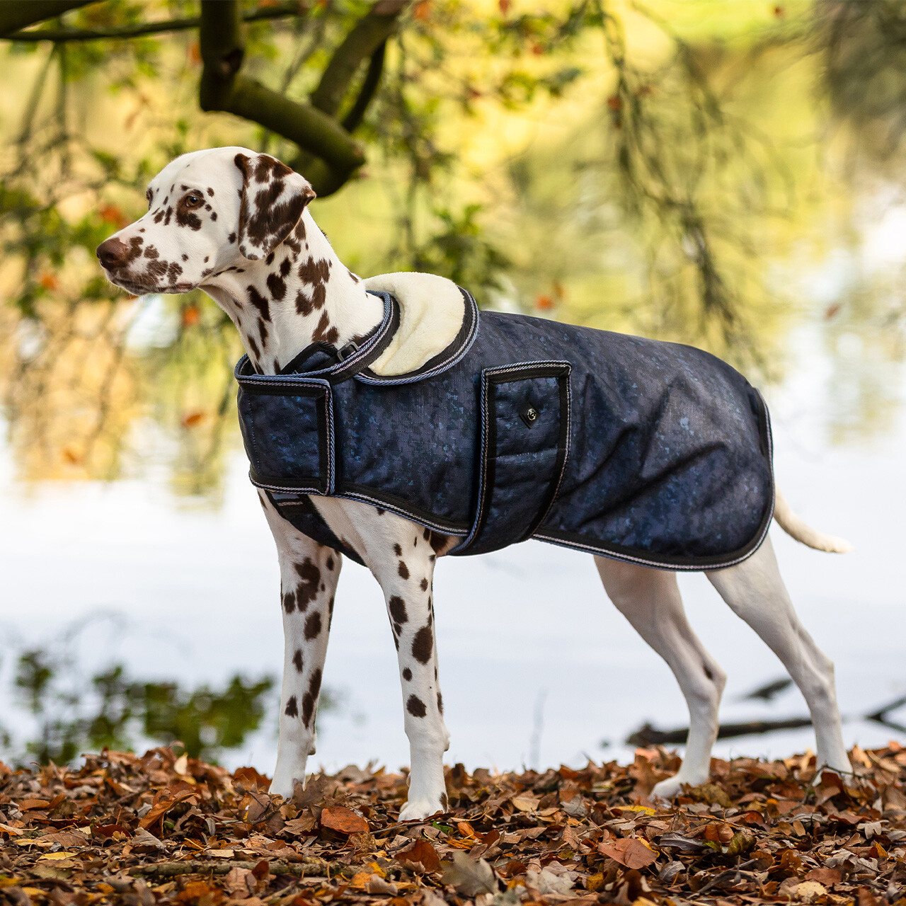 Dog rug 1200D turnout collection