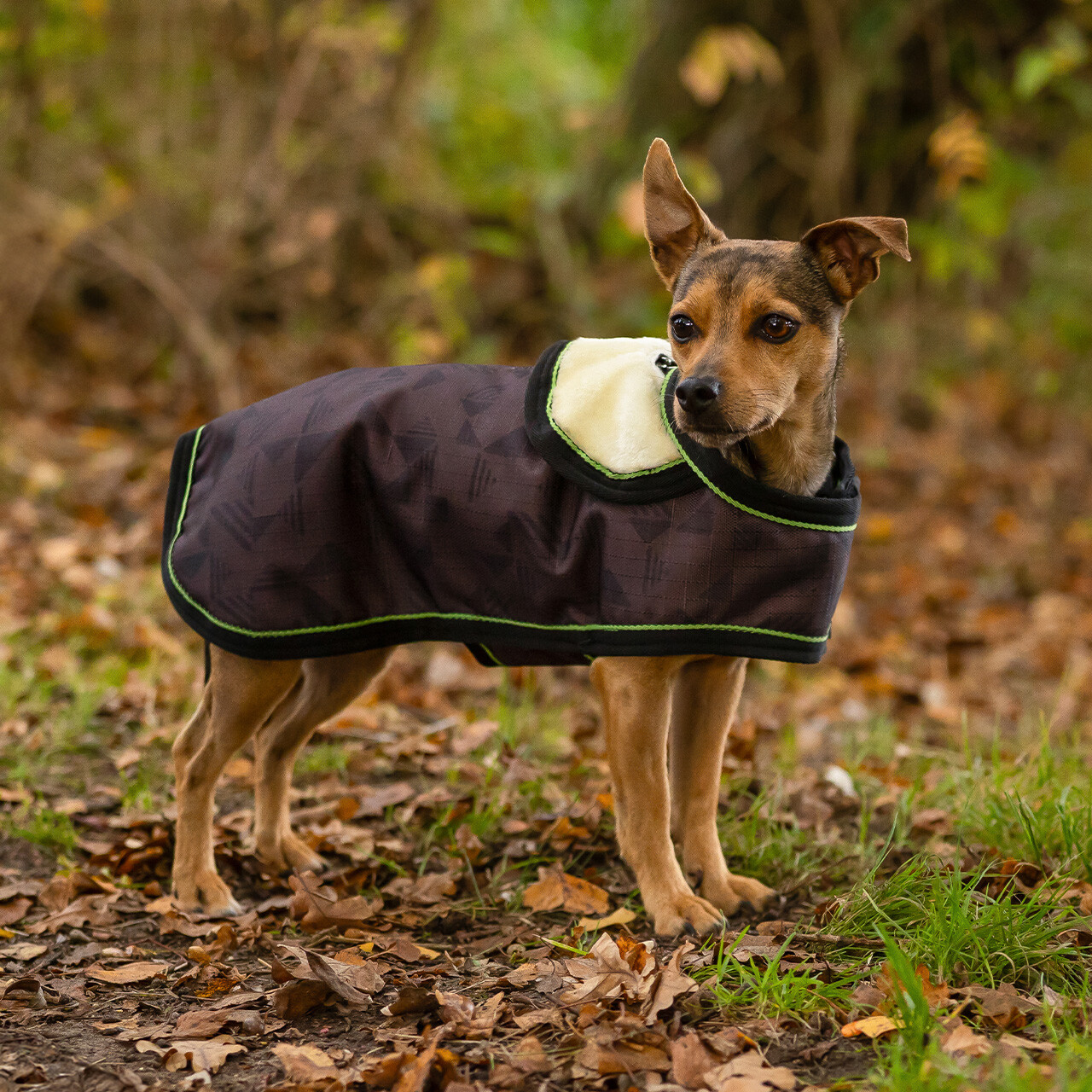 Dog rug 1200D turnout collection