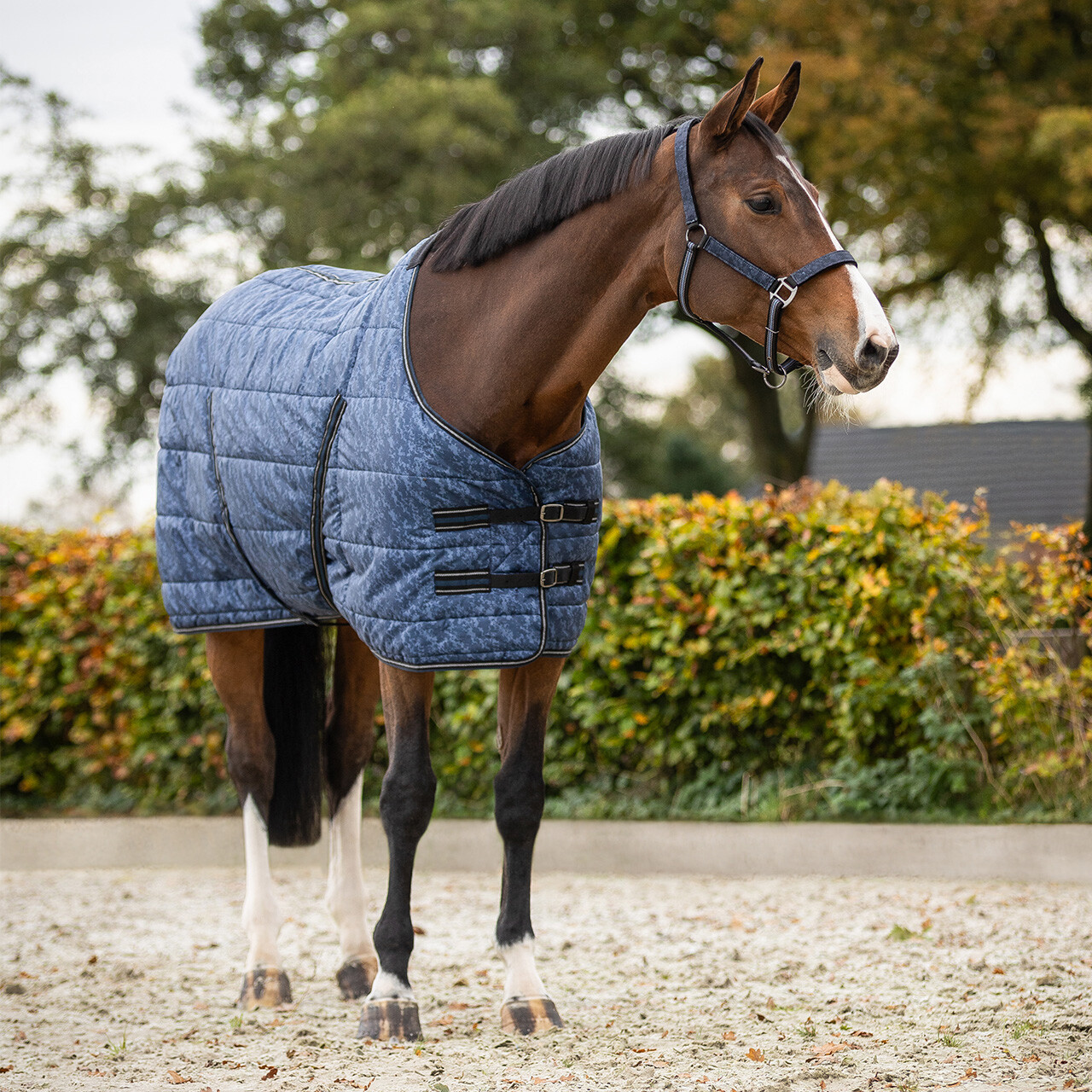 Stable rug start collection 200gr