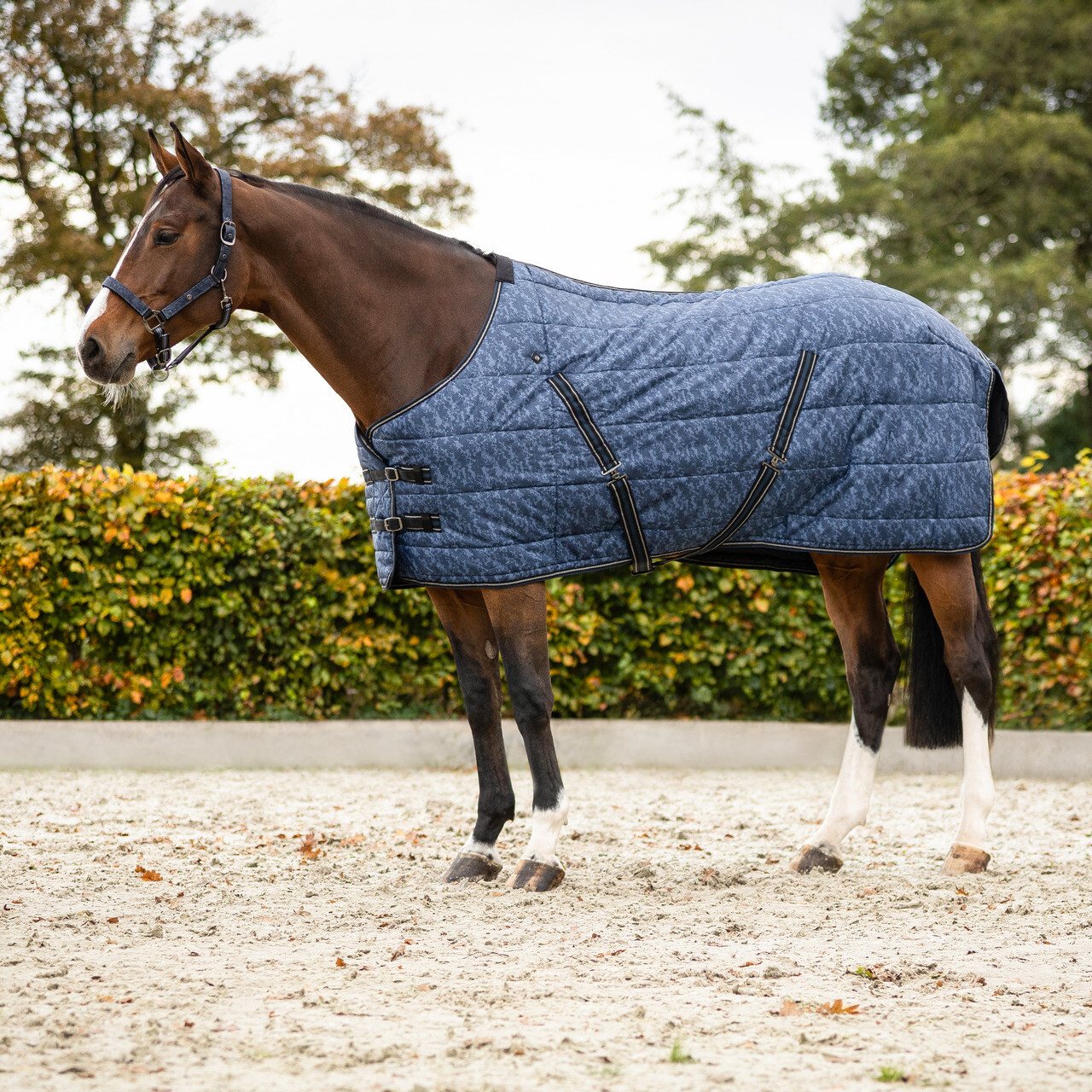 Stable rug start collection 200gr