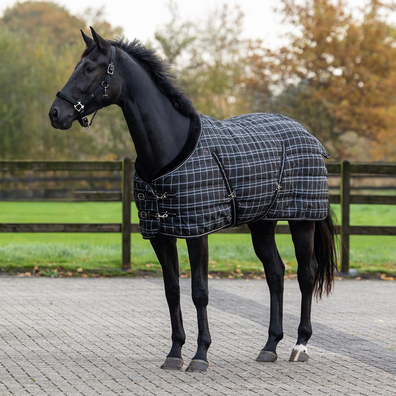Stable rug luxury 250gr
