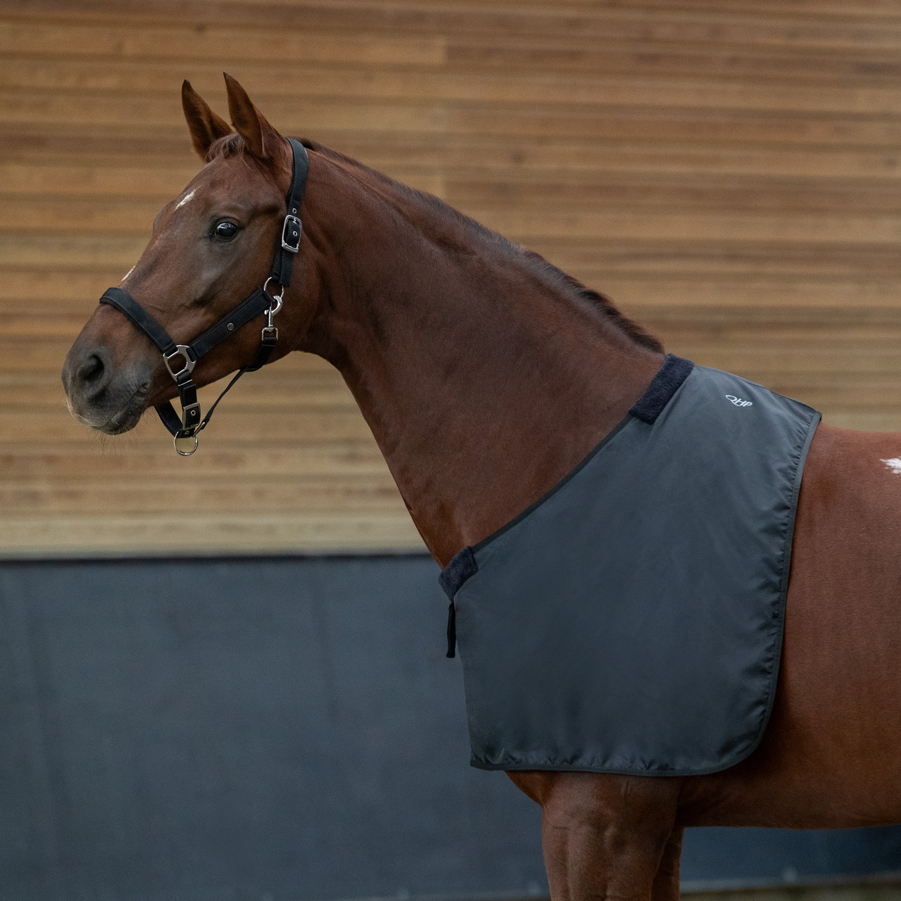 Chest protector soft