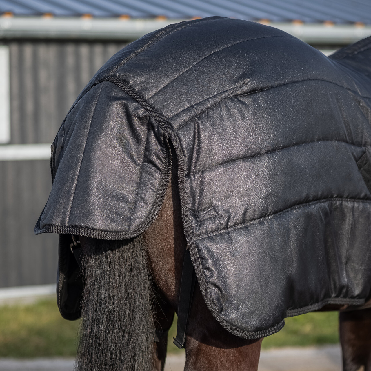 Stable rug Glitter 150gr