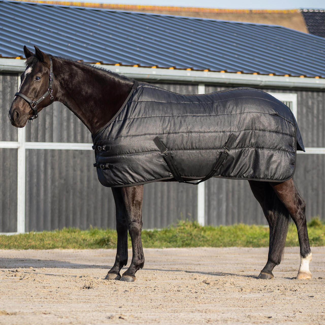 Stable rug Glitter 150gr