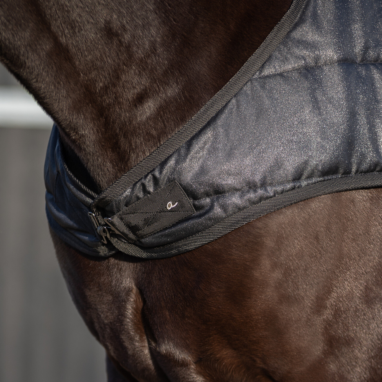 Walker rug Glitter 100gr