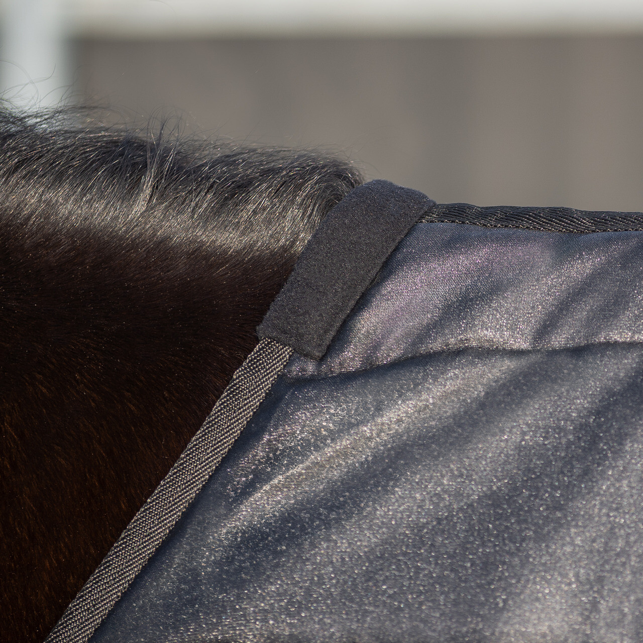 Walker rug Glitter 100gr