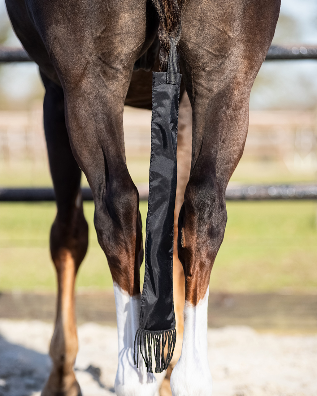 Tail bag with fringes