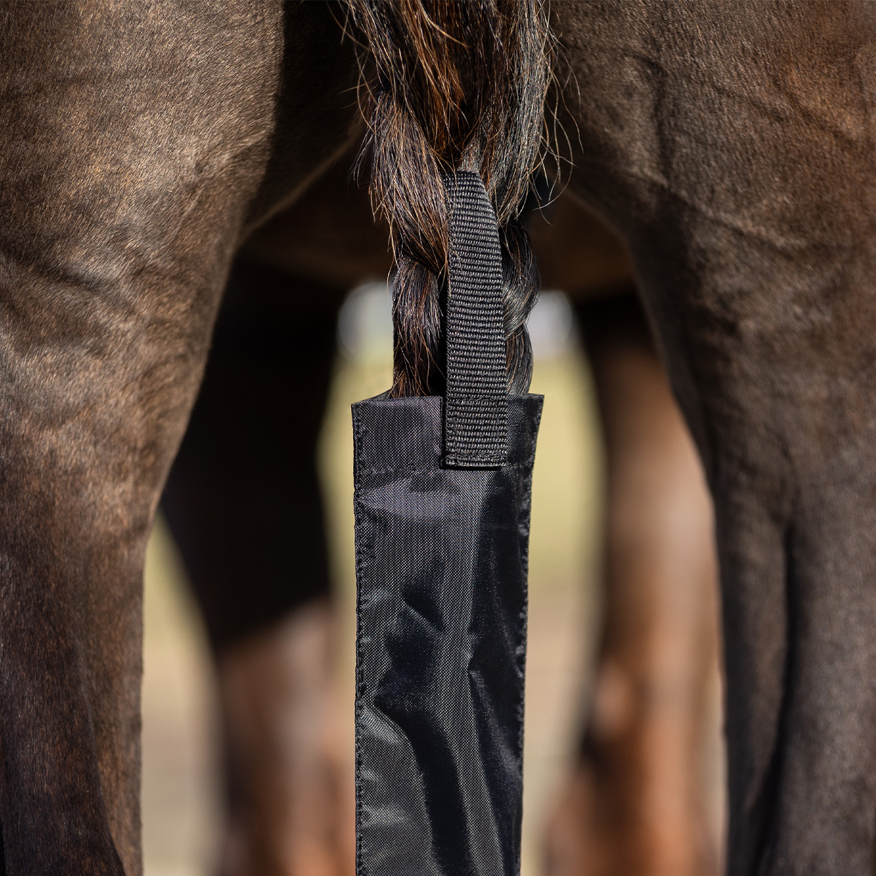 Tail bag with fringes