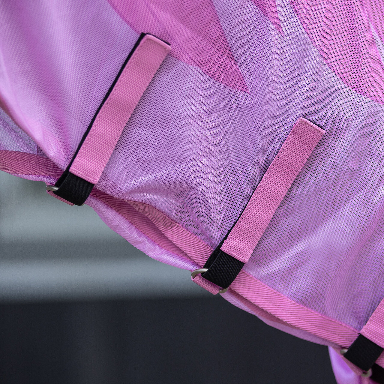 Fly rug with detachable neck NoRules