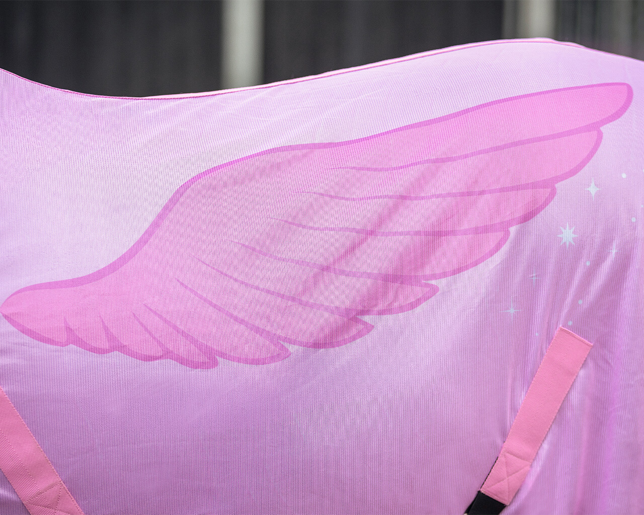 Fly rug with detachable neck NoRules