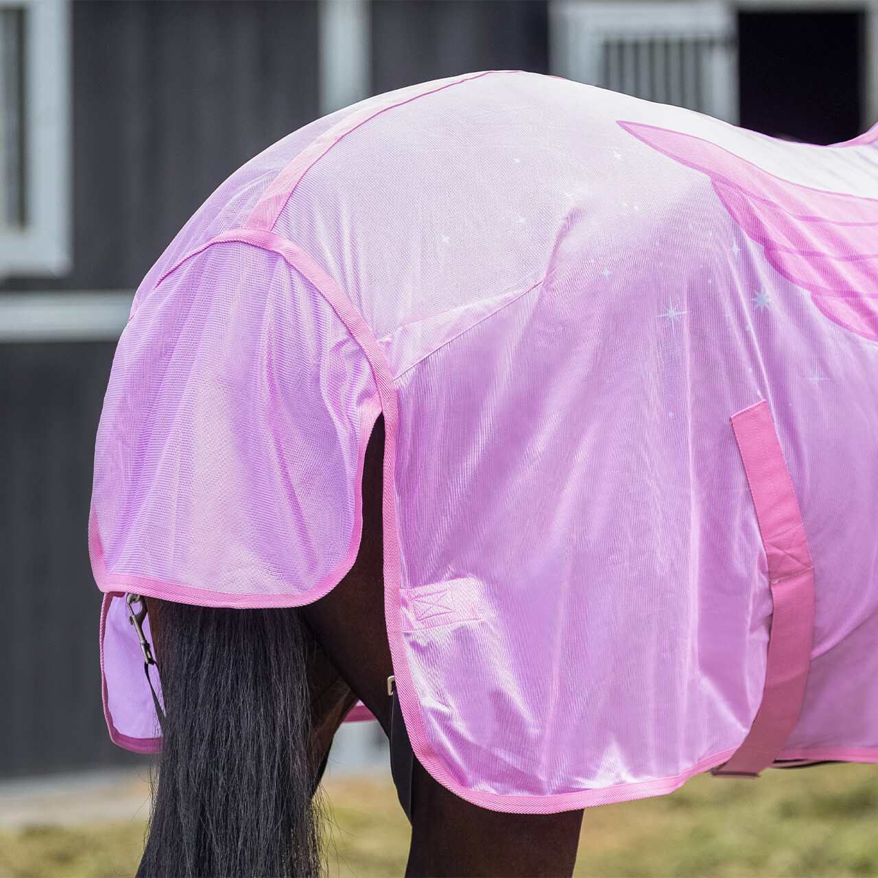 Fly rug with detachable neck NoRules