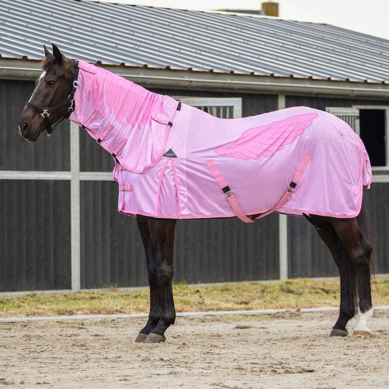 Fly rug with detachable neck NoRules