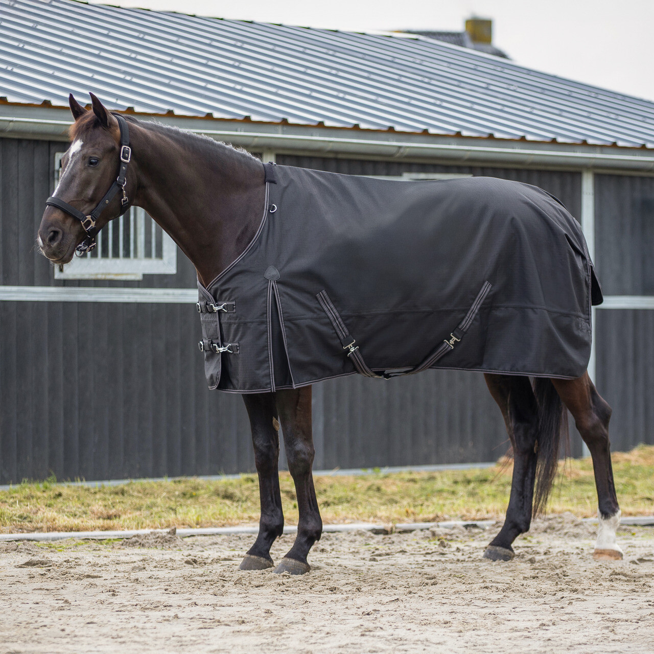 Turnout rug 1200D luxury 0gr