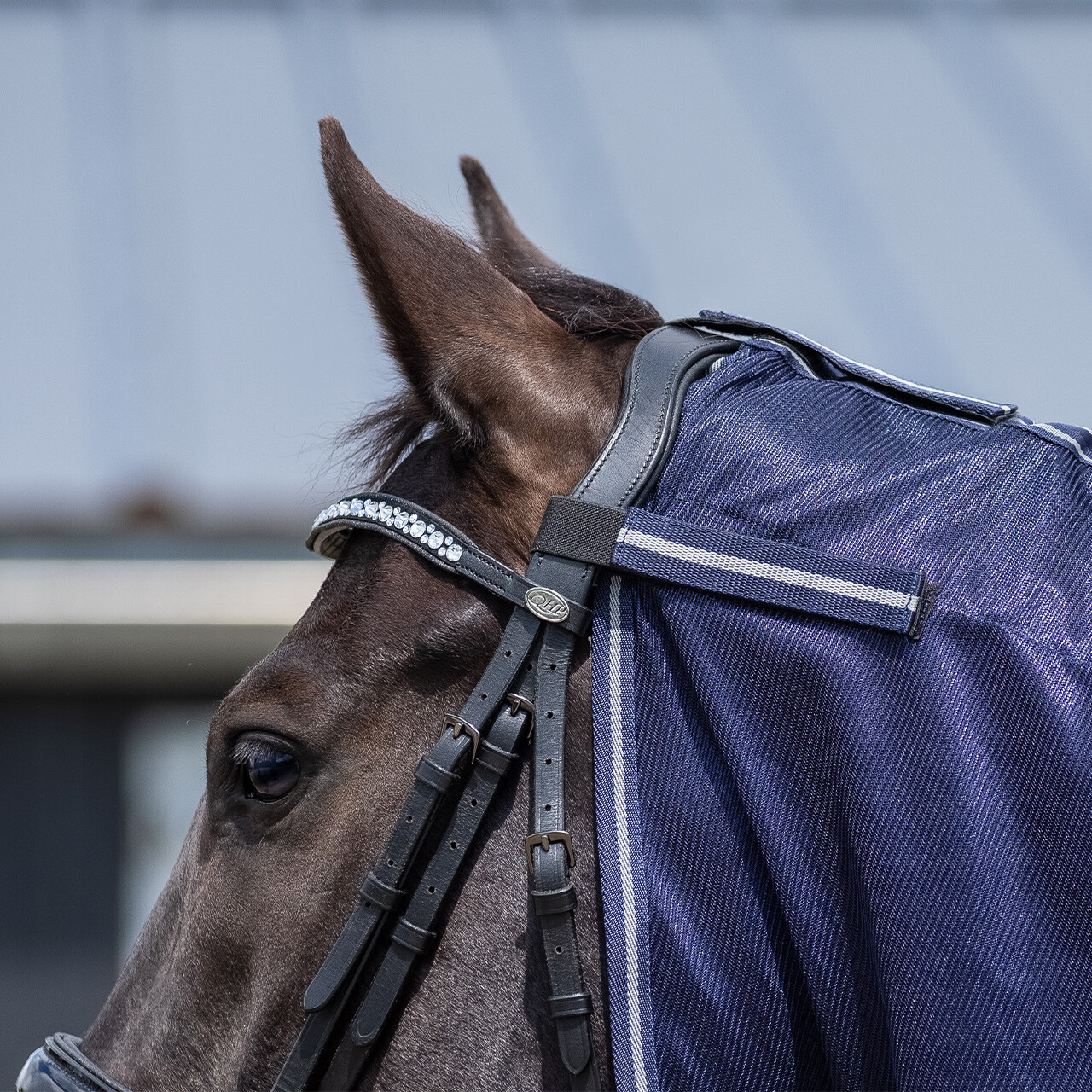 Exercise fly rug with detachable neck