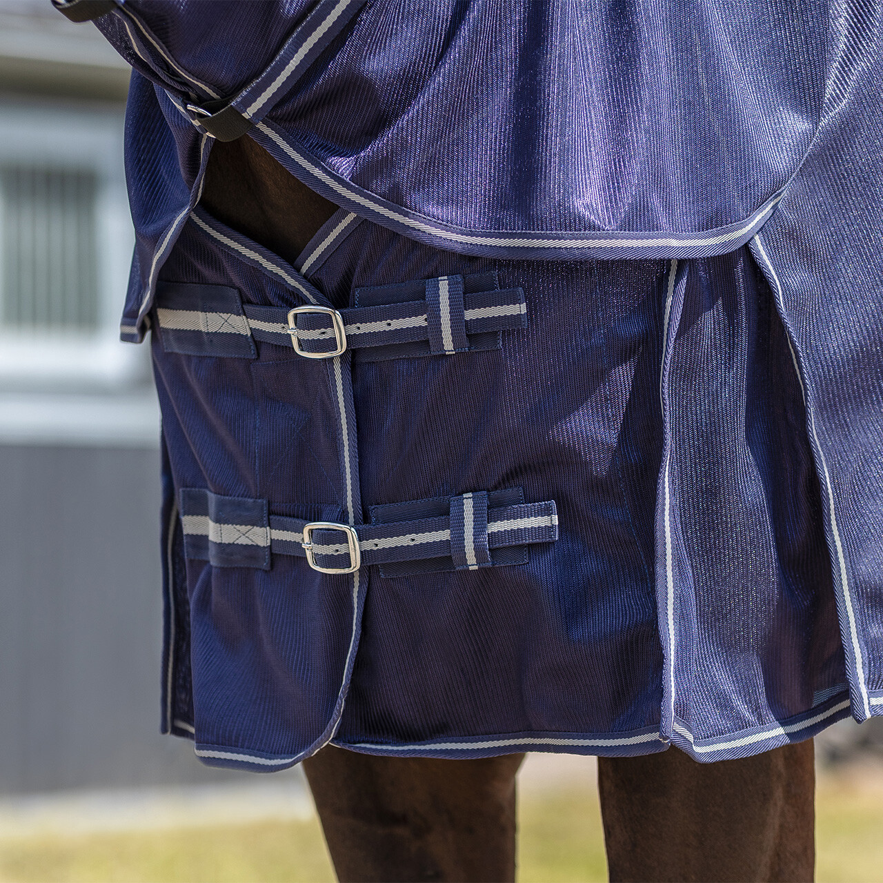Exercise fly rug with detachable neck
