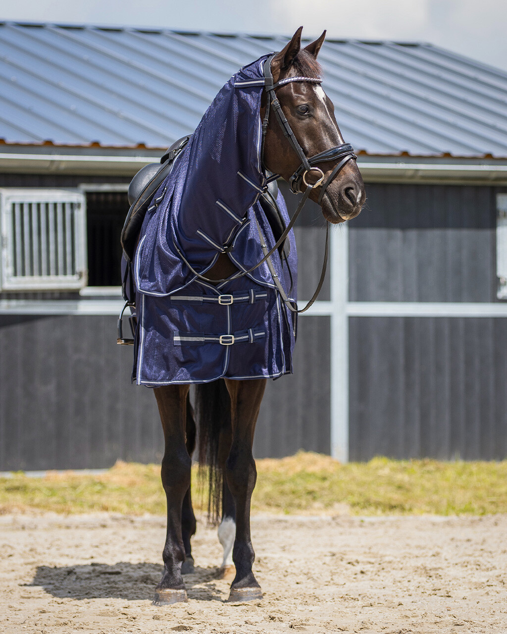 Exercise fly rug with detachable neck