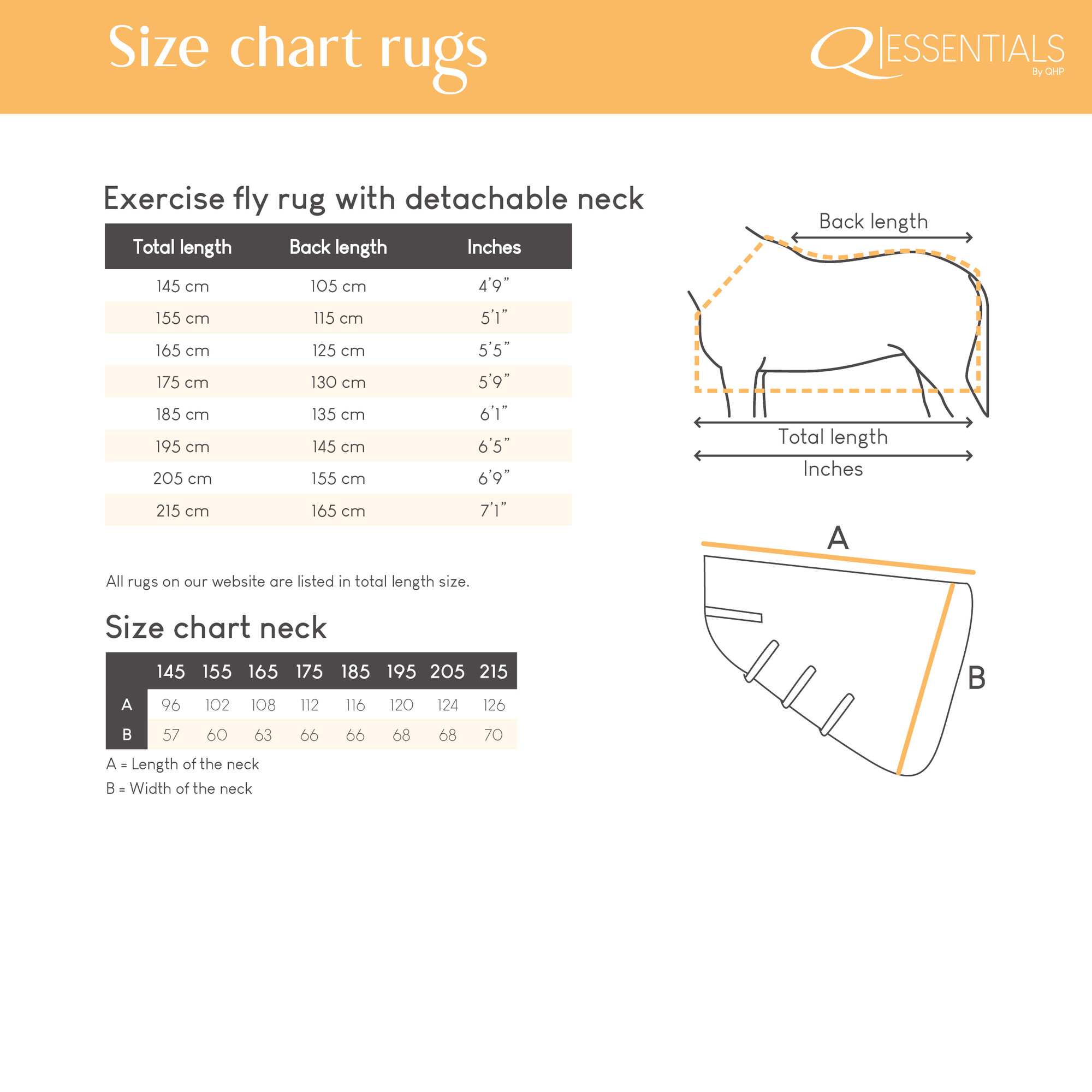 Exercise fly rug with detachable neck