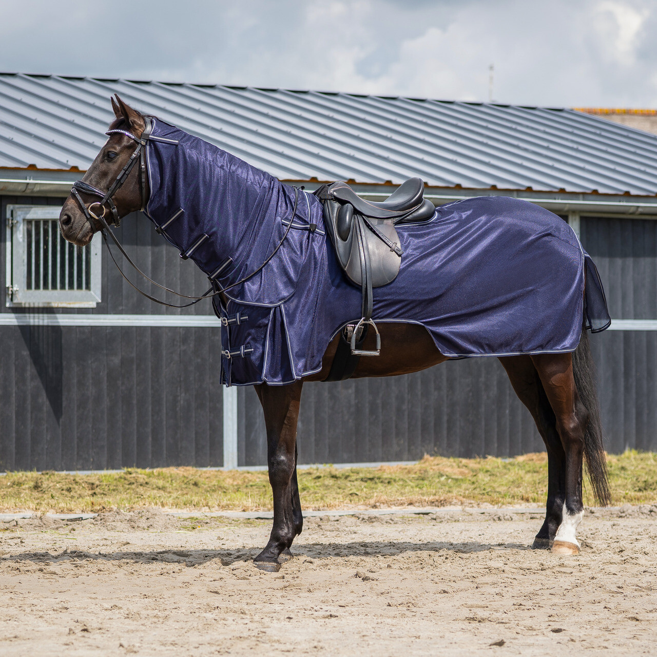 Exercise fly rug with detachable neck