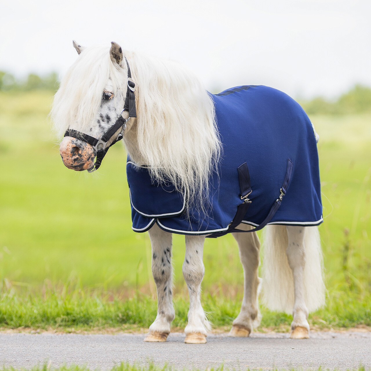 Fleece rug with ornament falabella