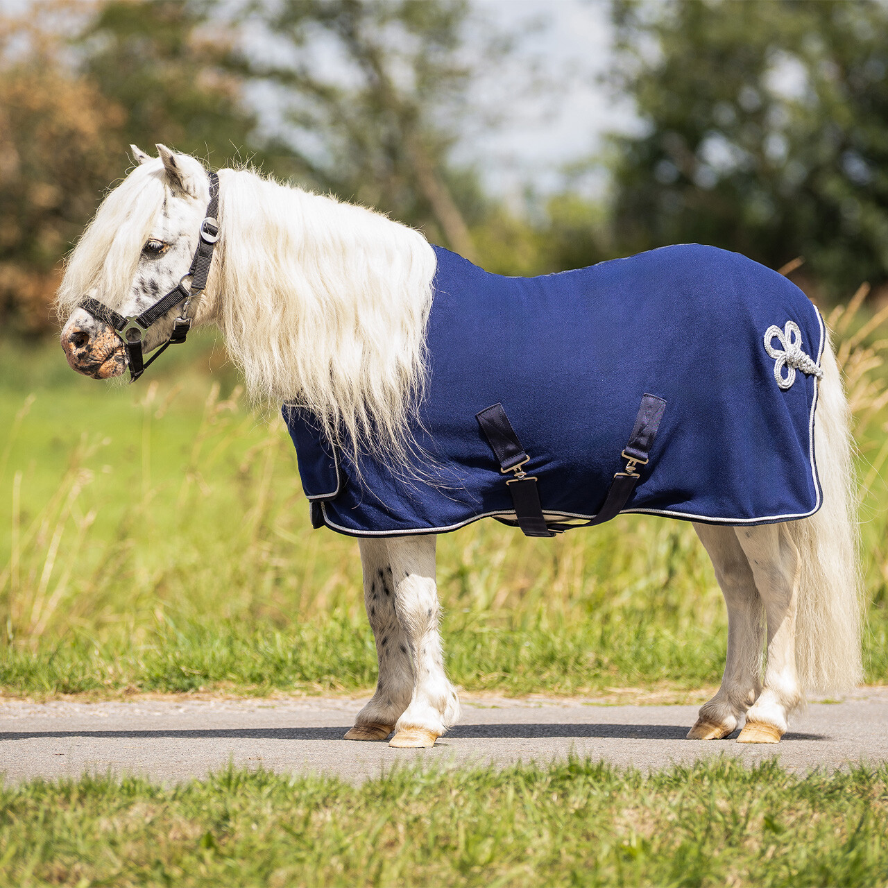 Fleece rug with ornament falabella