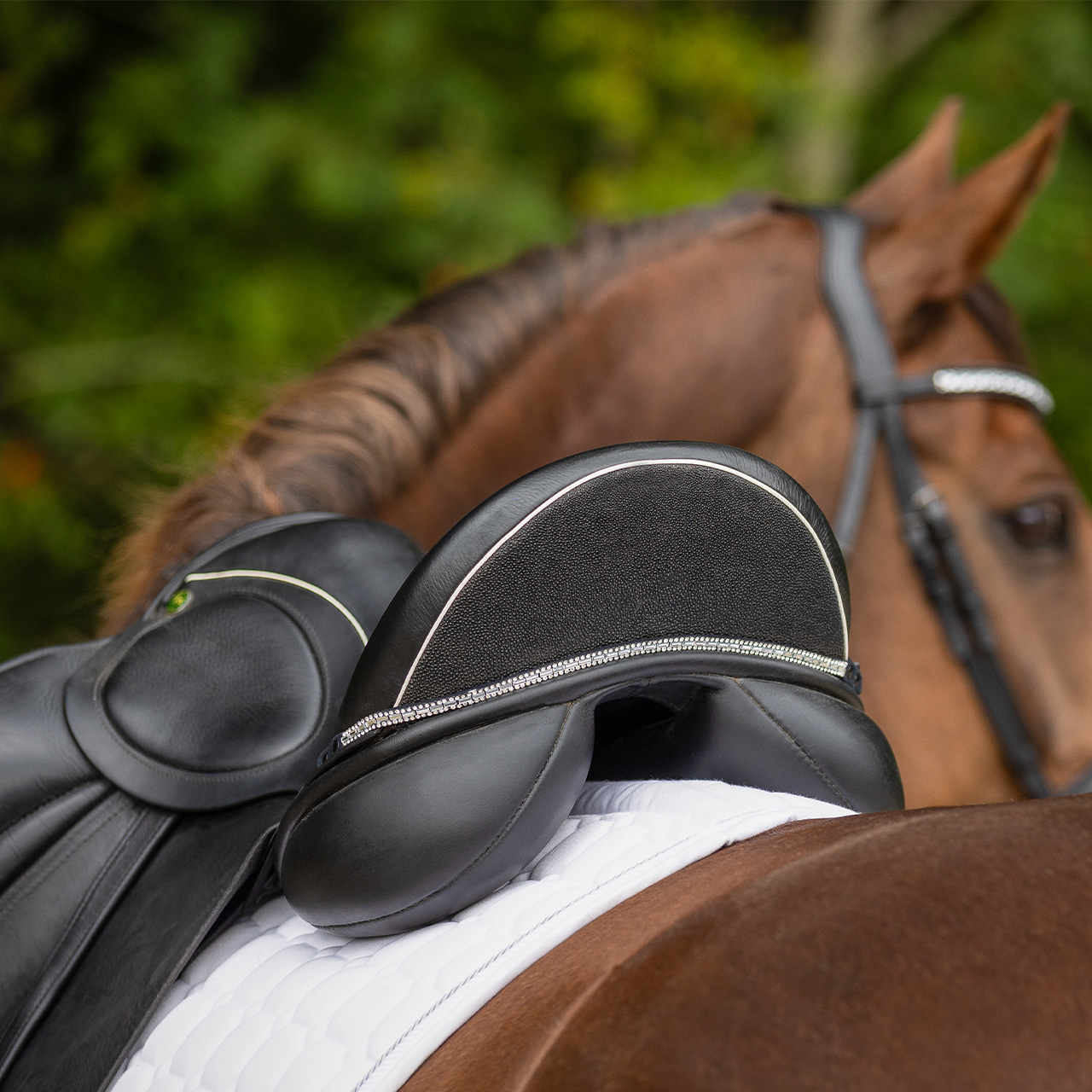 Saddle jewel Brittany