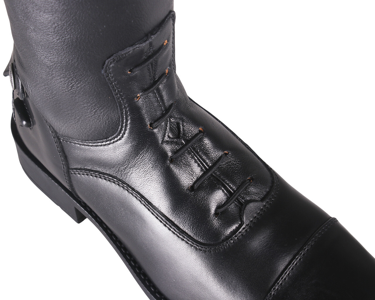 qhp birgit snake ladies long riding boots