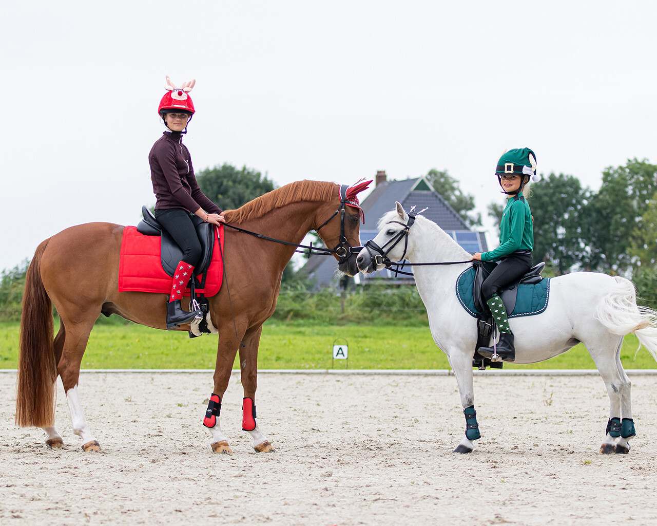 Knee stockings Christmas (2-pack)