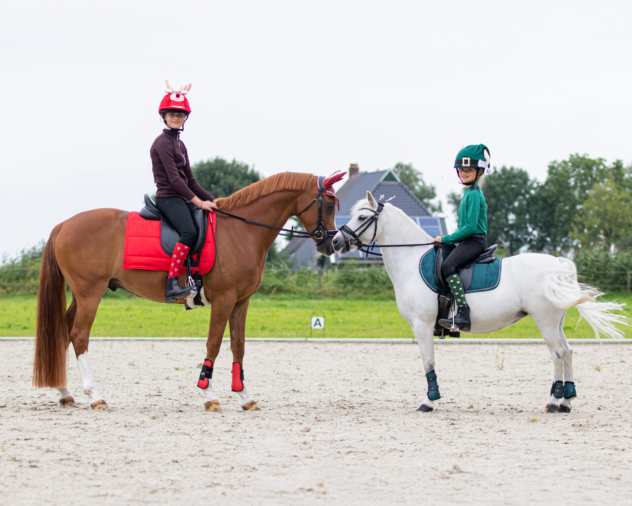 Knee stockings Christmas (2-pack)