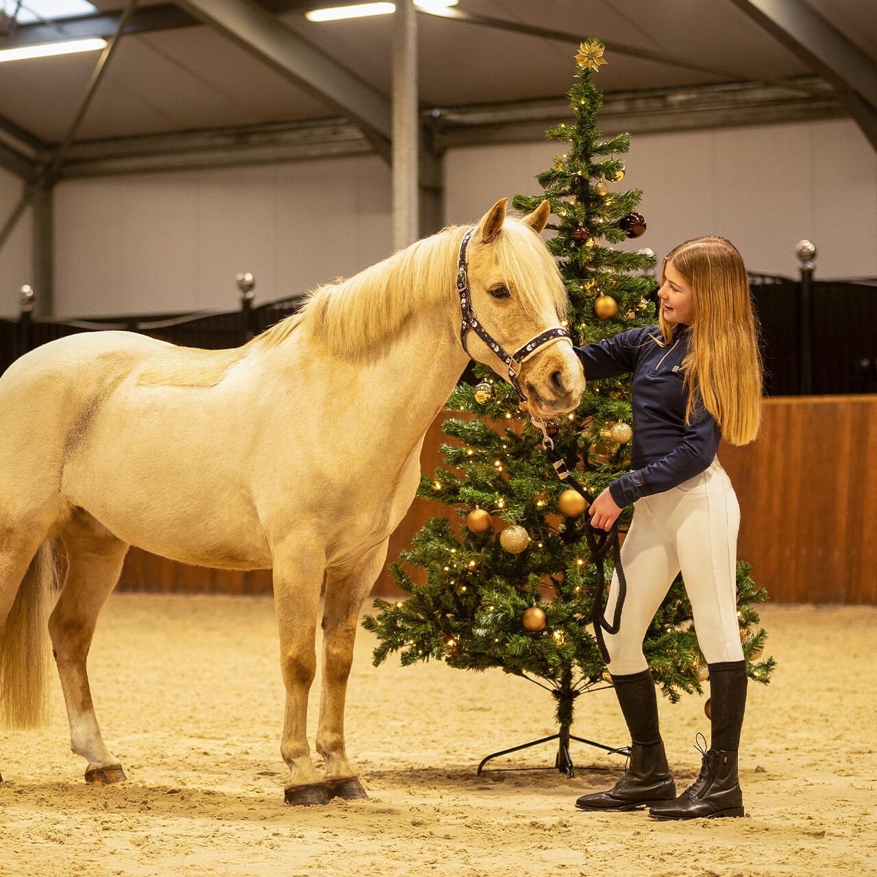 Knee stockings Christmas (2-pack)