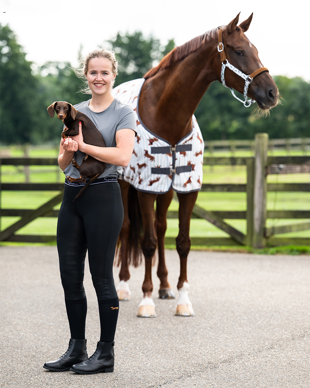 Knee stockings gift box Stable buddy (2-pack)