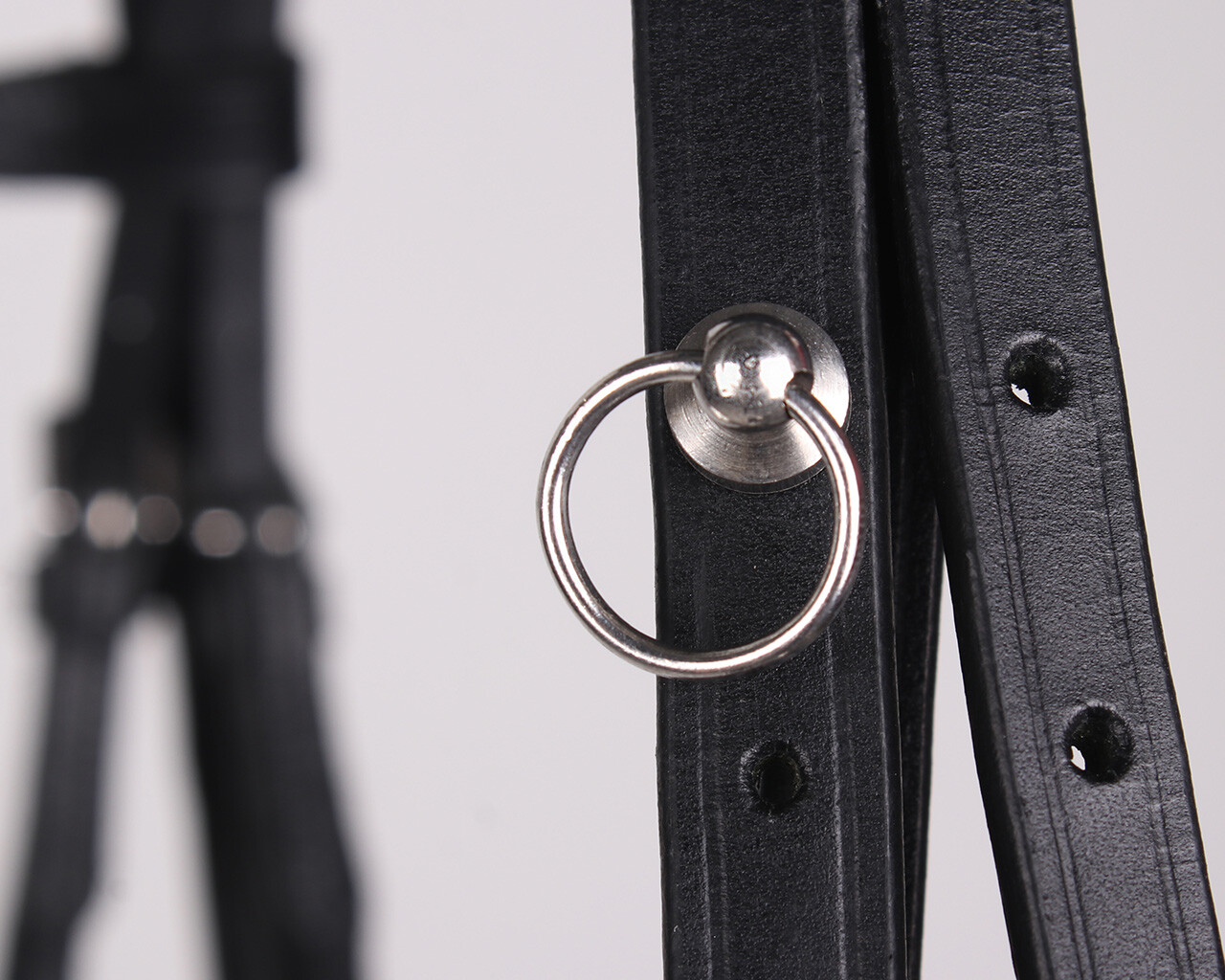 Attachment system for bridle charms