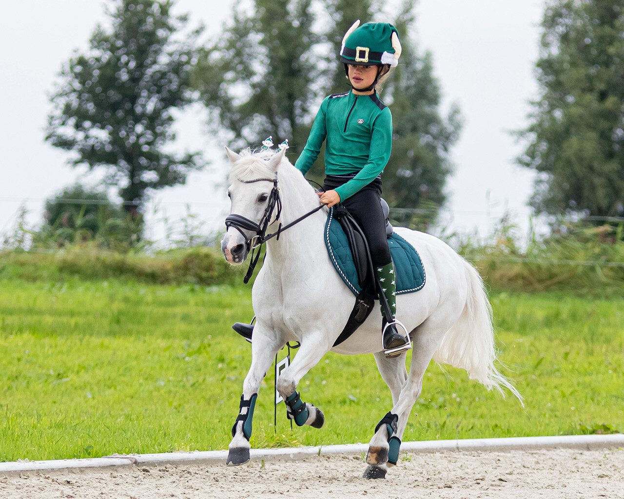 Crown piece accessory Christmas