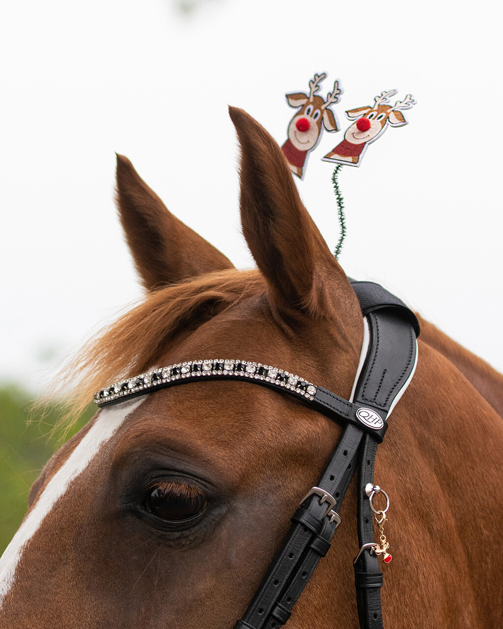 Crown piece accessory Christmas