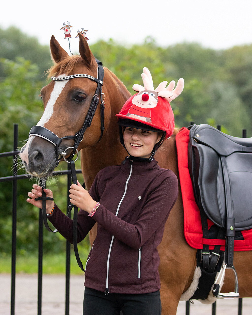 Helmet cover Christmas