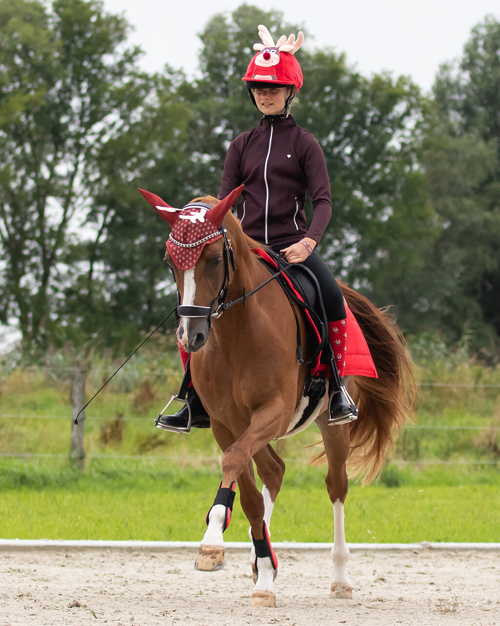 Helmet cover Christmas
