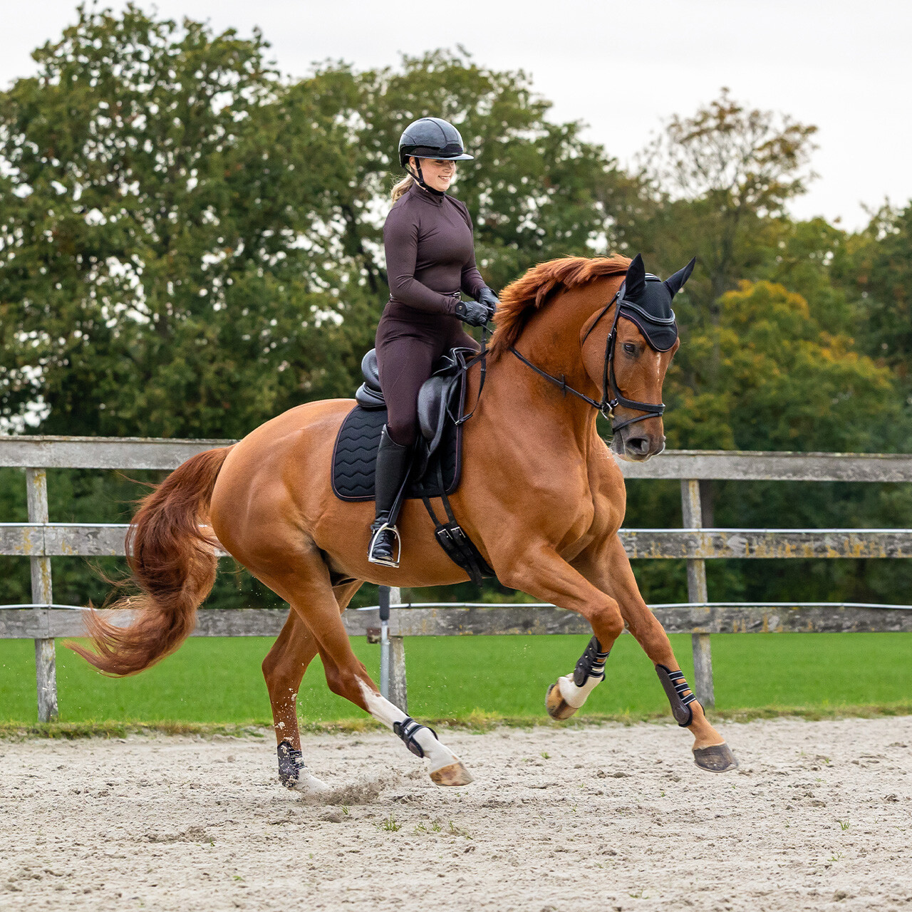 Riding tights Avenna full grip