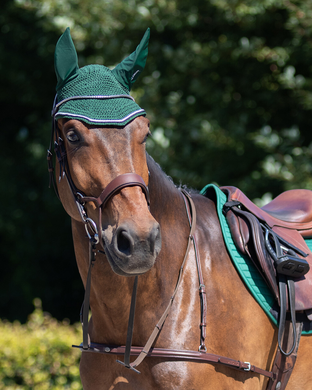 show original title Details about  / QHP Bridle Sedna Leather Padded from the Q-Cross Line Wide Neck Piece 2 FB.