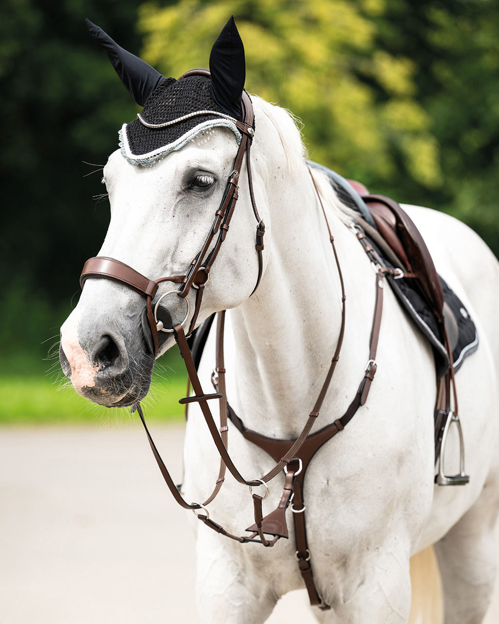 Bridle Sedna incl. reins