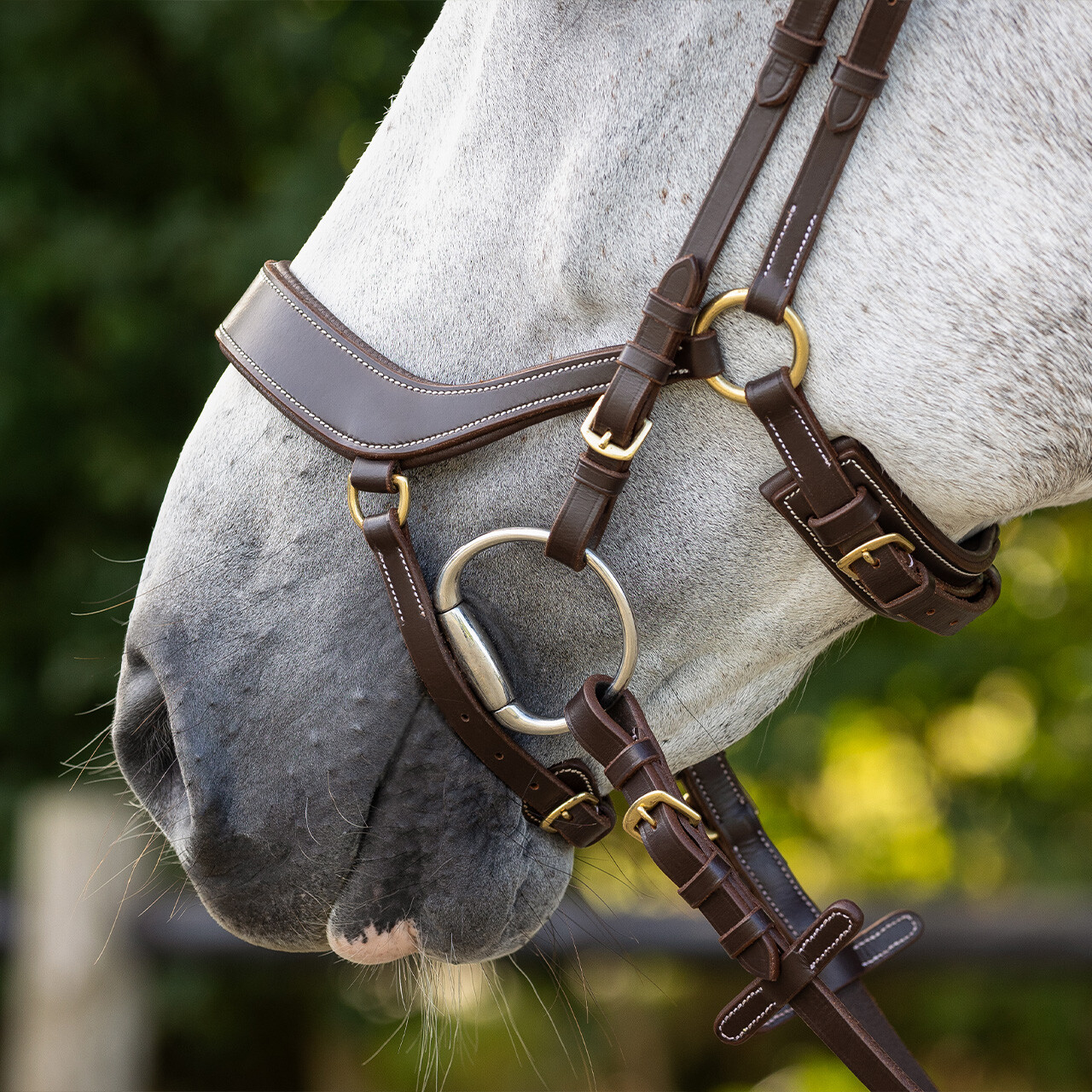 Bridle Devi incl. reins