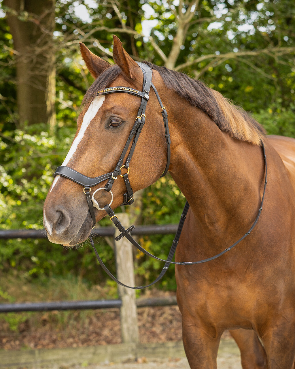 Bridle Devi incl. reins