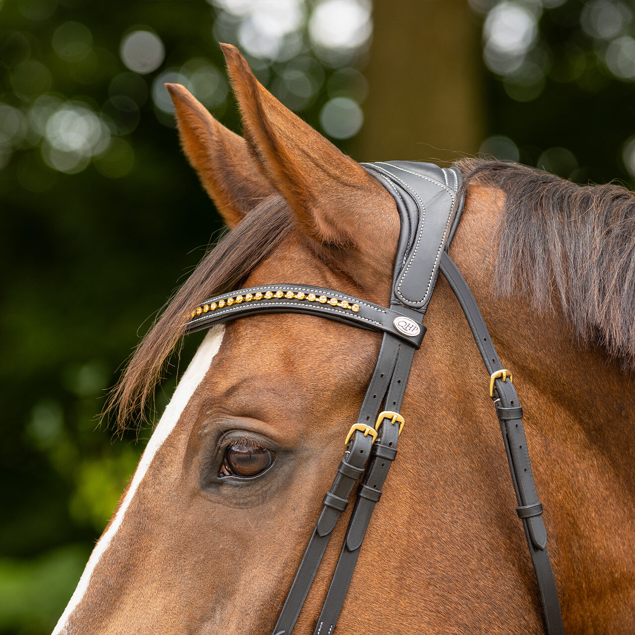 Bridle Devi incl. reins