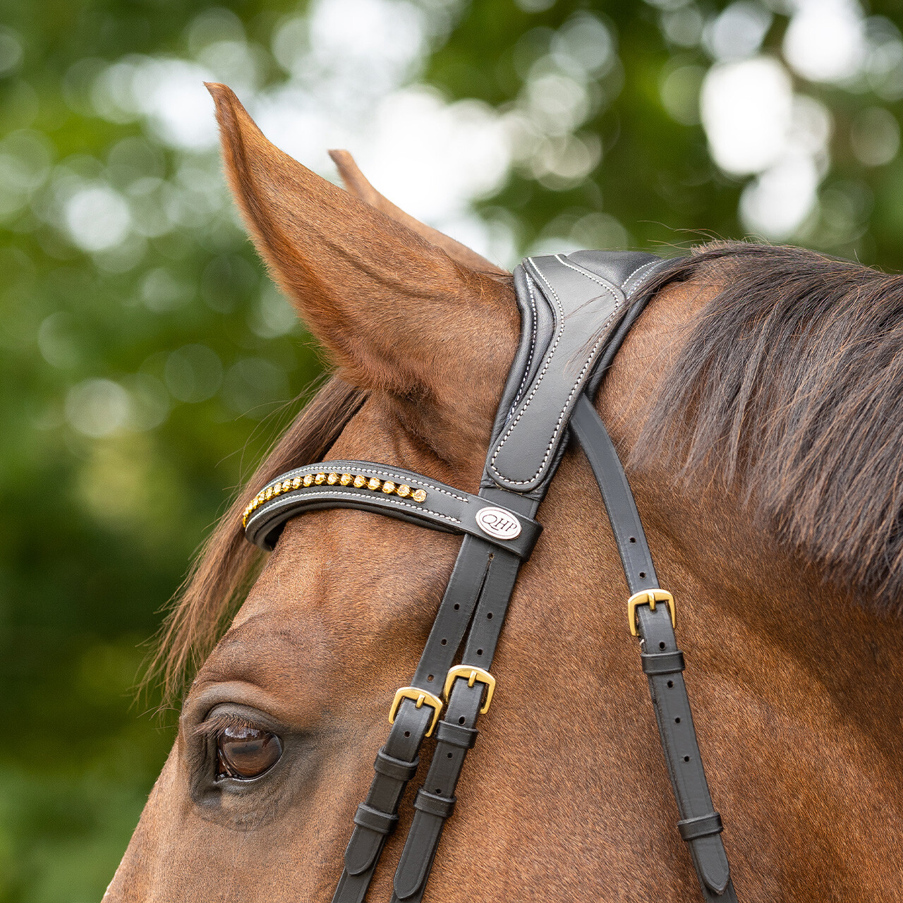 Bridle Devi incl. reins