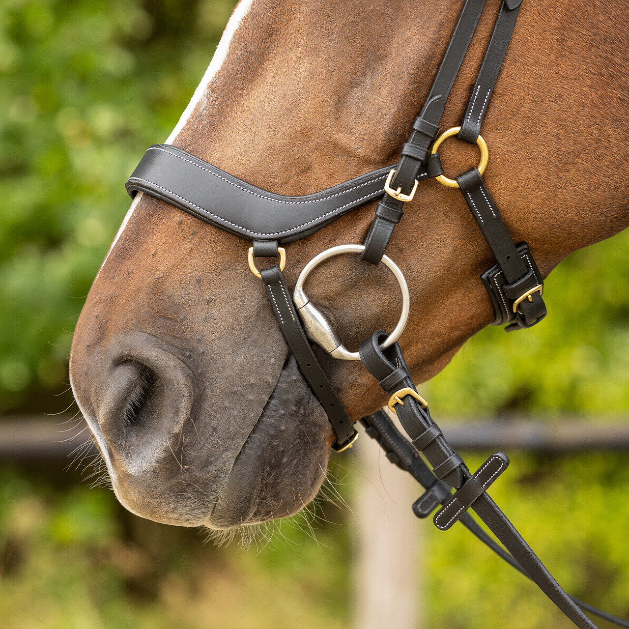 Bridle Devi incl. reins