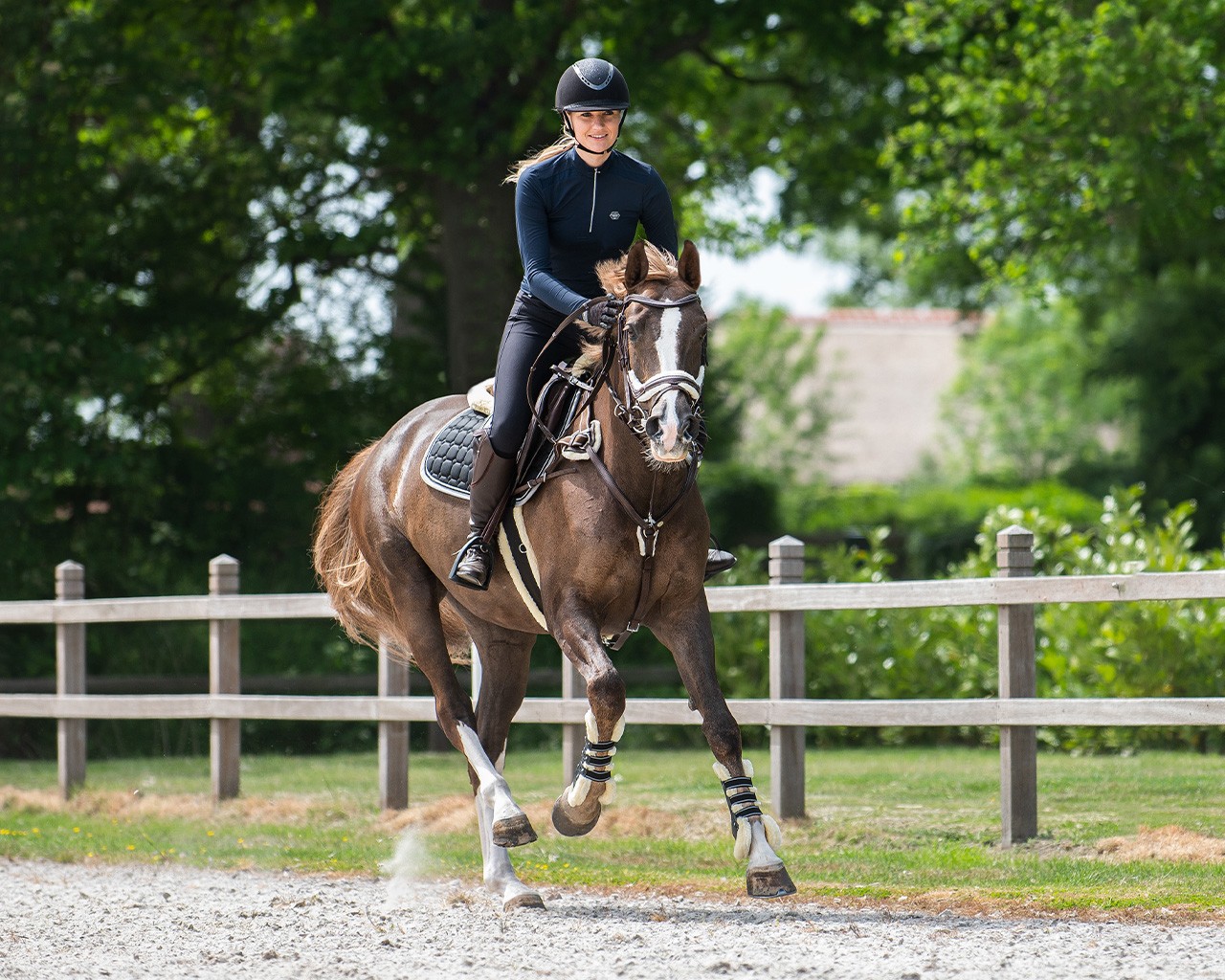 Bridle Ontario incl. reins