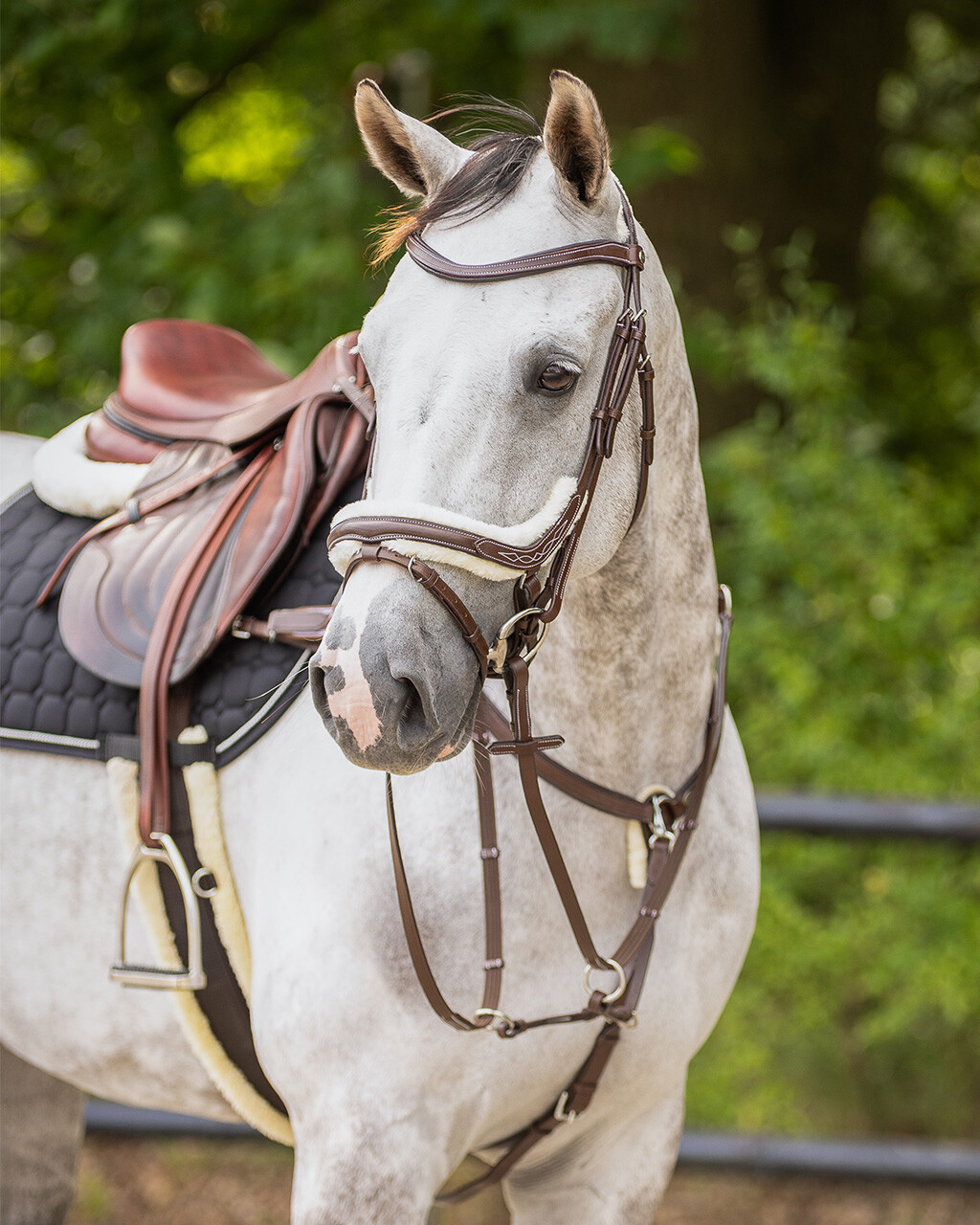 Bridle Ontario incl. reins