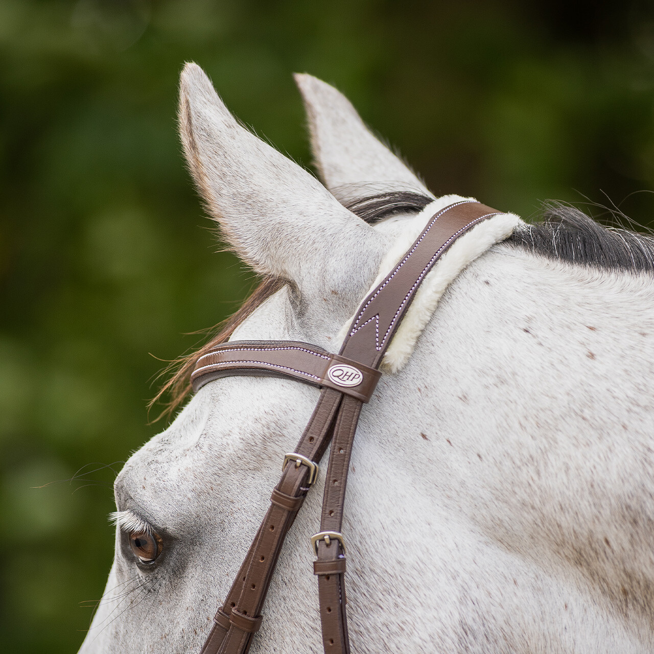 Bridle Ontario incl. reins