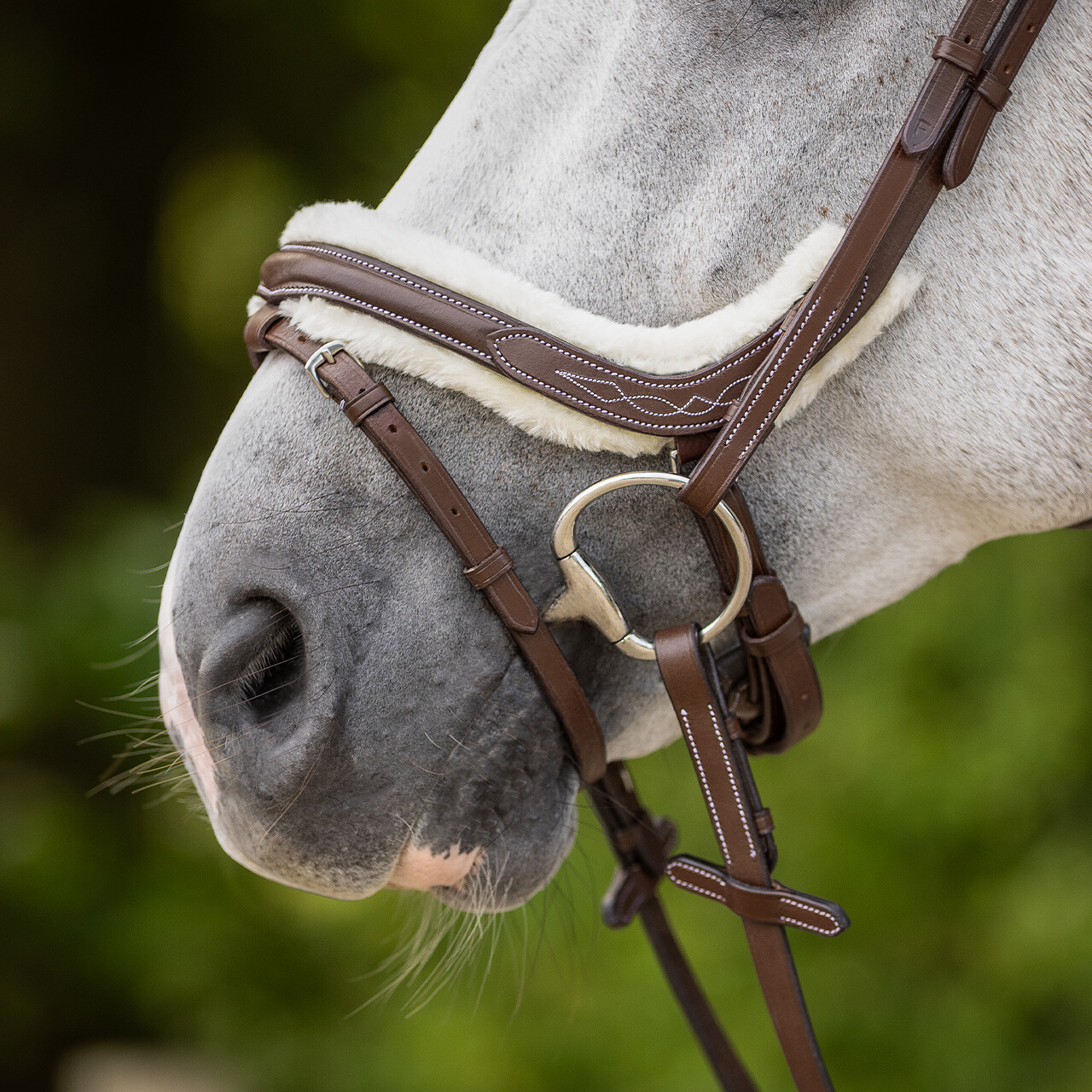 Bridle Ontario incl. reins