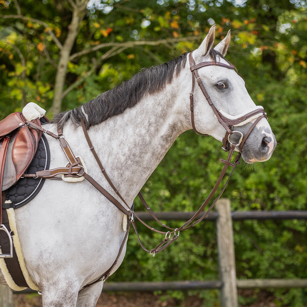 Bridle Ontario incl. reins