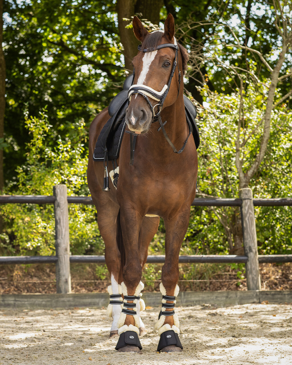 Bridle Ontario incl. reins