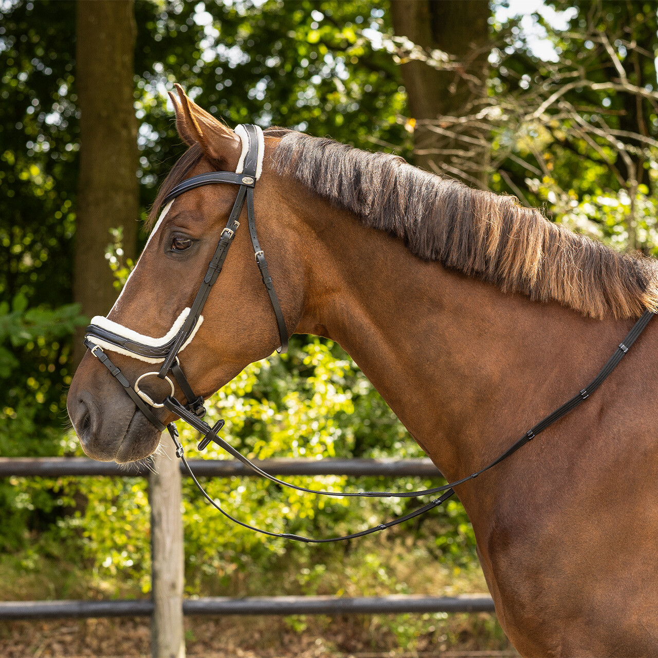 Bridle Ontario incl. reins